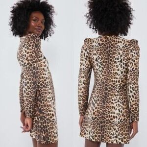 Leopard Print Long Sleeve Dress